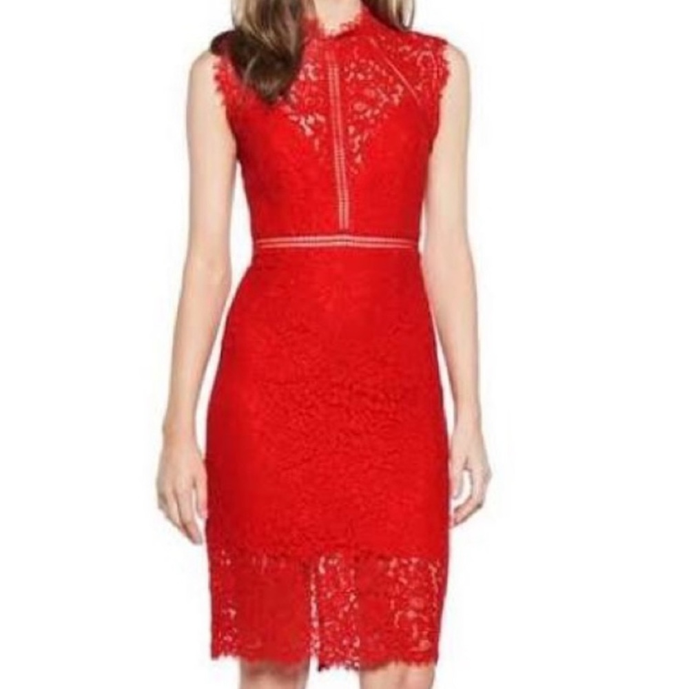 Bardot red lace panel sheath dress